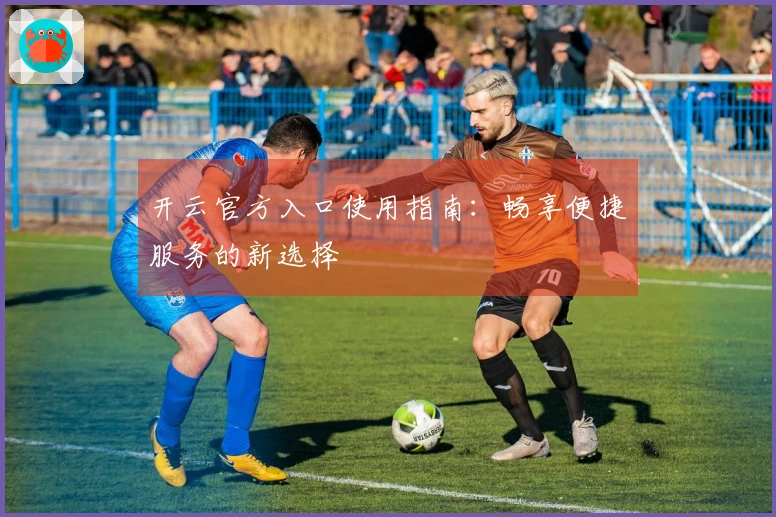 开云官方入口使用指南：畅享便捷服务的新选择