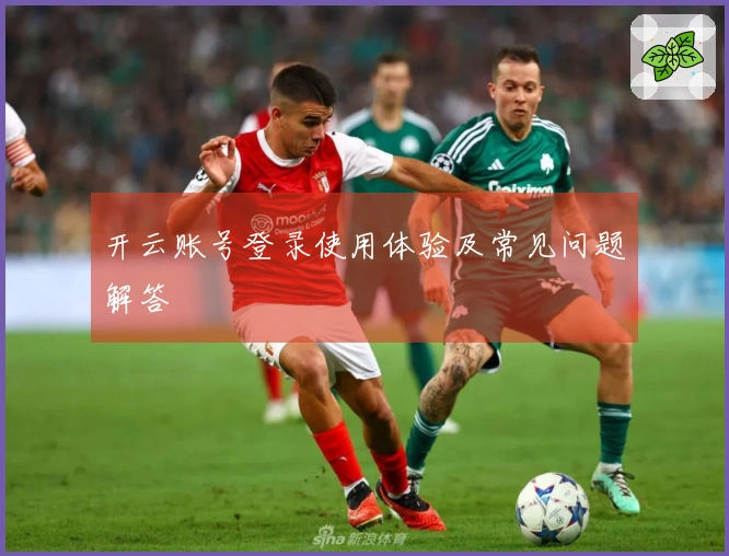 开云账号登录使用体验及常见问题解答